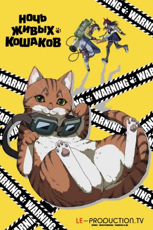Ночь живых кошаков